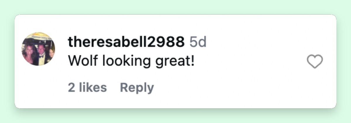One Instagram person praised Wolfgang Van Halen's appearance as Valerie Bertinelli's family photo continued to draw supportive reactions from fans. | Source: Instagram/wolfiesmom