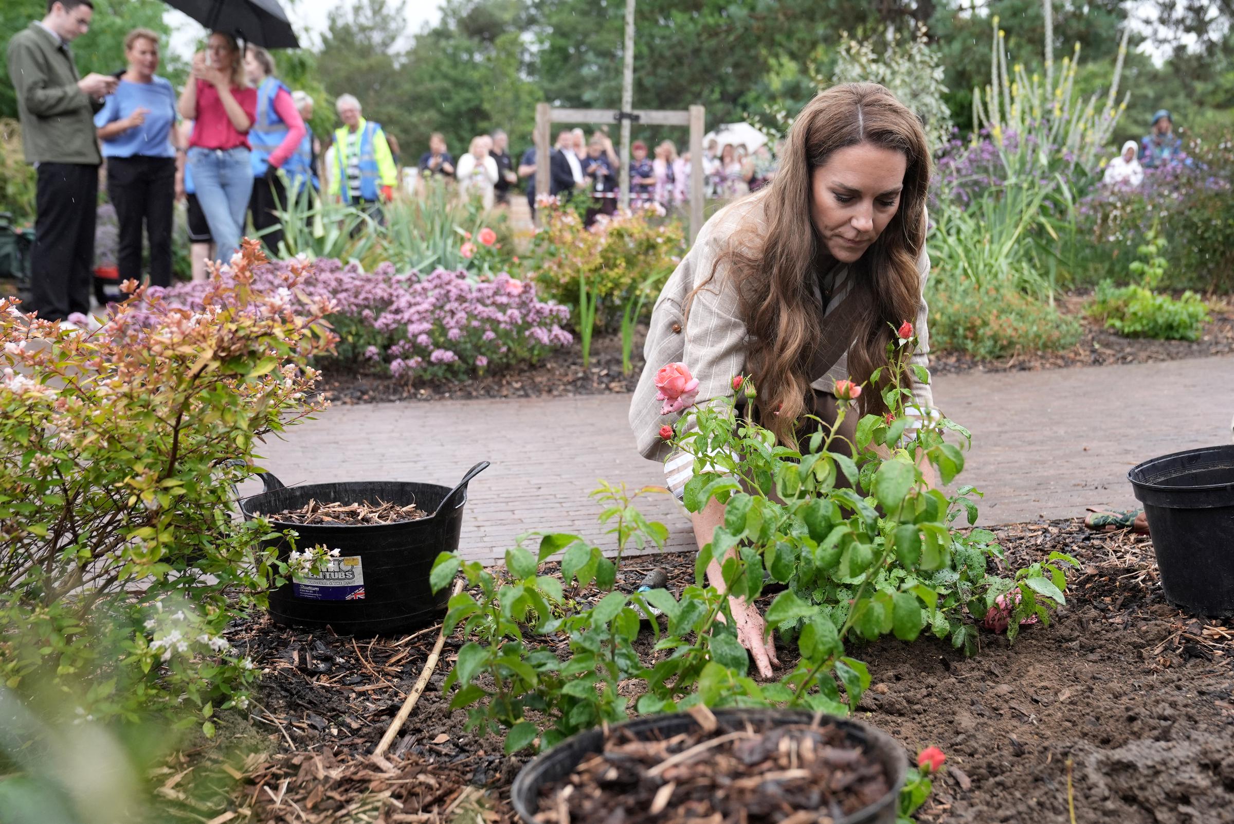 Catherine, Princess of Wales, leans closer to a newly planted rose, her expression focused as she adjusts the soil during a hands-on moment of connection with nature.