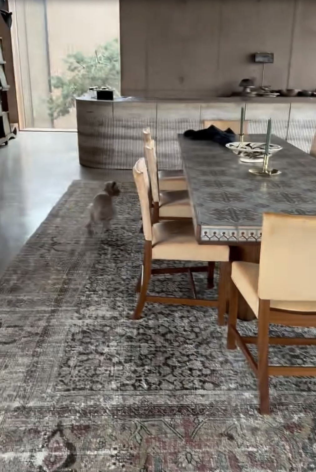 Inside Ellen DeGeneres and Portia de Rossi's property from a post dated October 16, 2025. | Source: Instagram/ellendegeneres