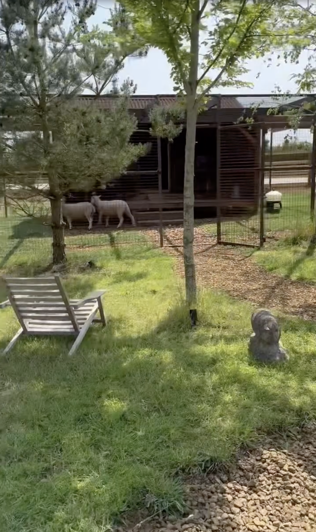 The animals on Ellen DeGeneres and Portia de Rossi's property from a post dated June 13, 2025. | Source: Instagram/ellendegeneres