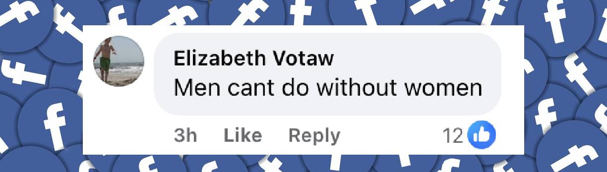 A netizen's reaction to the news that Alan Hamel and Joanna Cassidy are dating, from a post dated June 25, 2025 | Source: Facebook/enews
