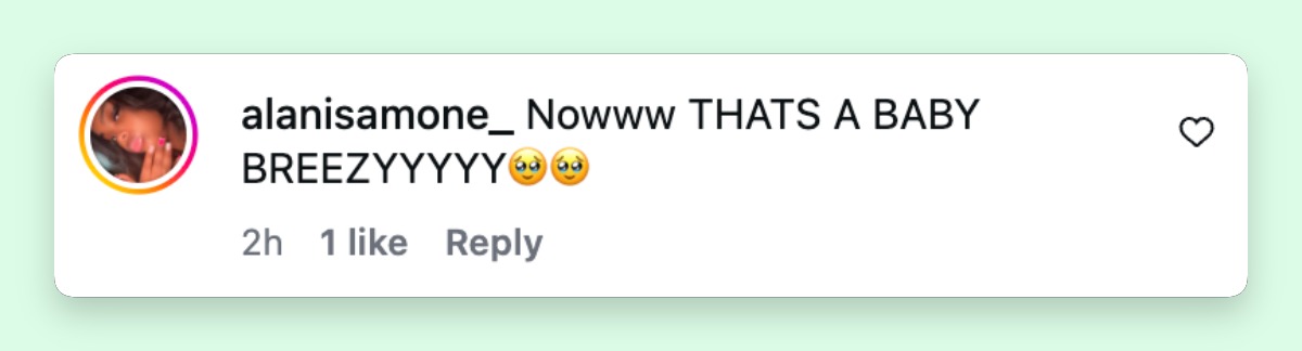 A netizen reacts to a picture of Chris Brown's newborn son | Source: Instagram/_jwallace