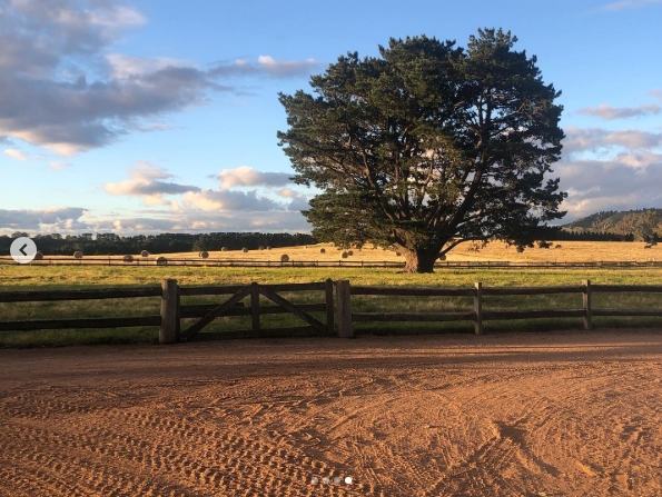 A towering tree anchors the center of a vast paddock, where hay bales dot the landscape and a red dirt road adds rustic charm to the peaceful farmland scene. From a post dated April 22, 2021. | Source: Instagram/nicolekidman