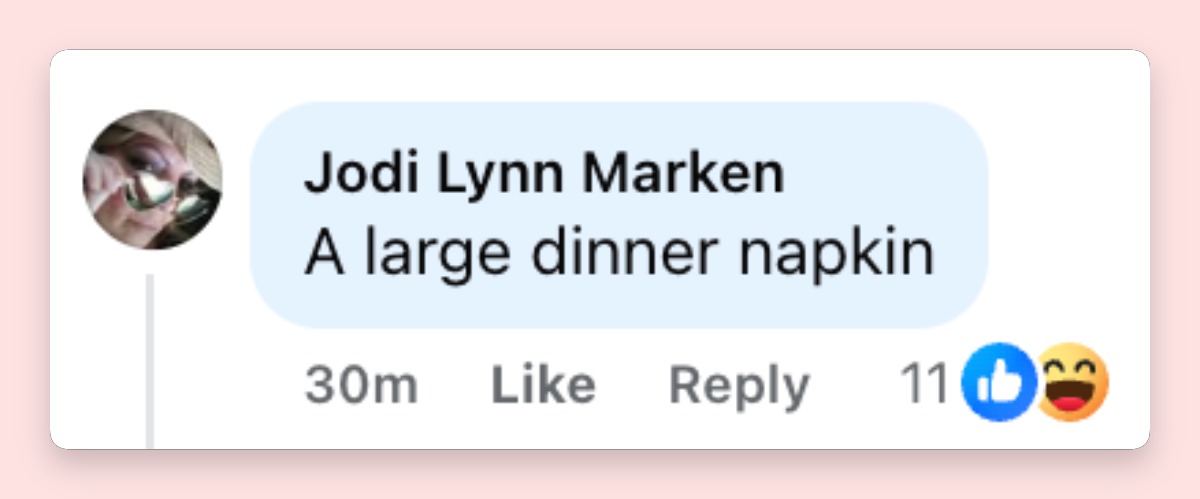 A netizen's reaction to Melania Trump's look at the Washington state dinner | Source: Facebook/pagesix