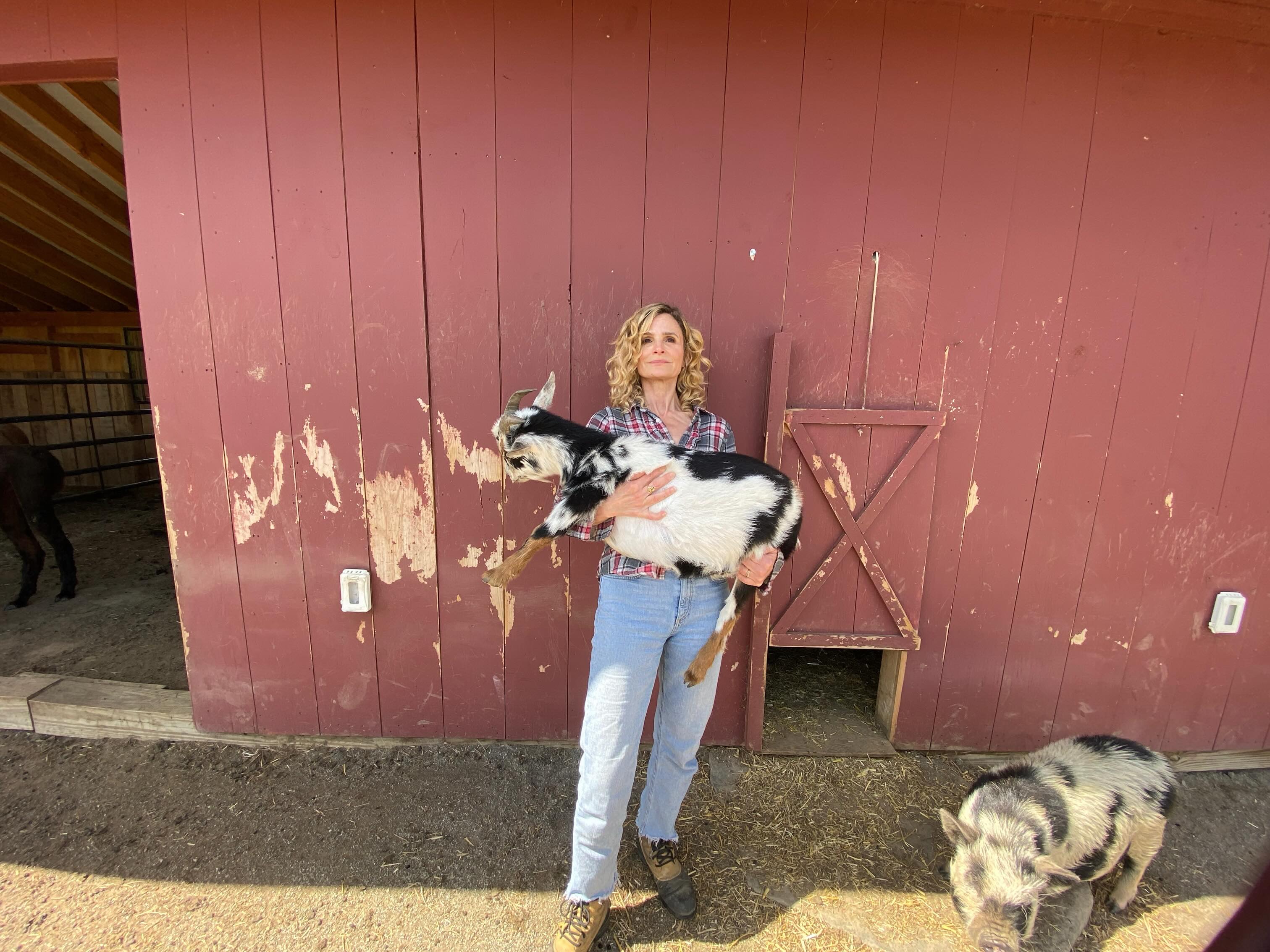 Sedgwick has said she and Bacon did not anticipate how strongly people would respond to their farm videos. The animals soon became nearly as recognizable in those clips as the famous couple themselves.