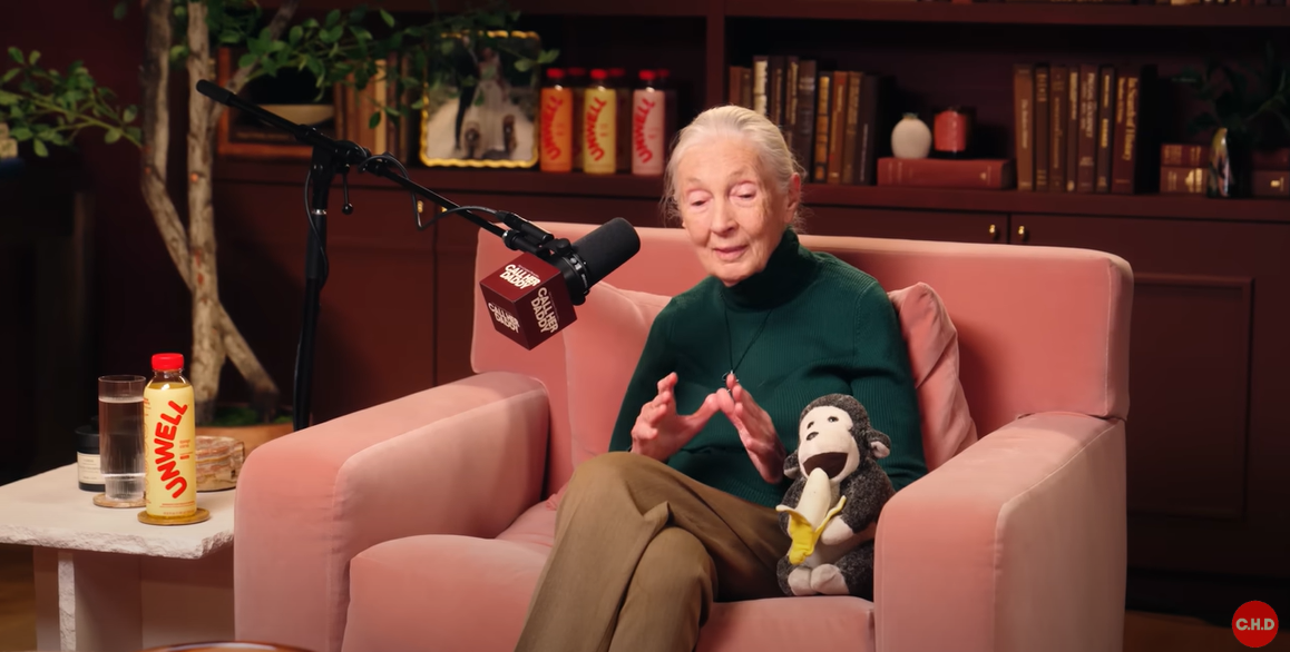 Jane Goodall and her stuffed mascot Mr. H during an interview, from a video post dated May 21, 2025 | Source: YouTube/CallHerDaddy