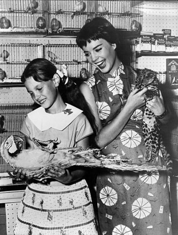 A publicity photo taken of the actress and her older sister in 1956 | Source: Getty Images