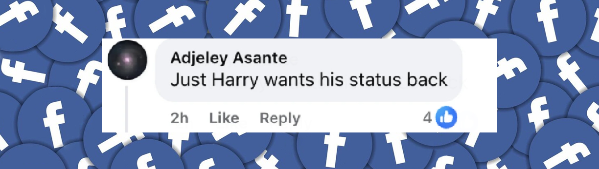 A netizen comments on King Charles III and Prince Harry's reconciliation efforts | Source: Facebook/People