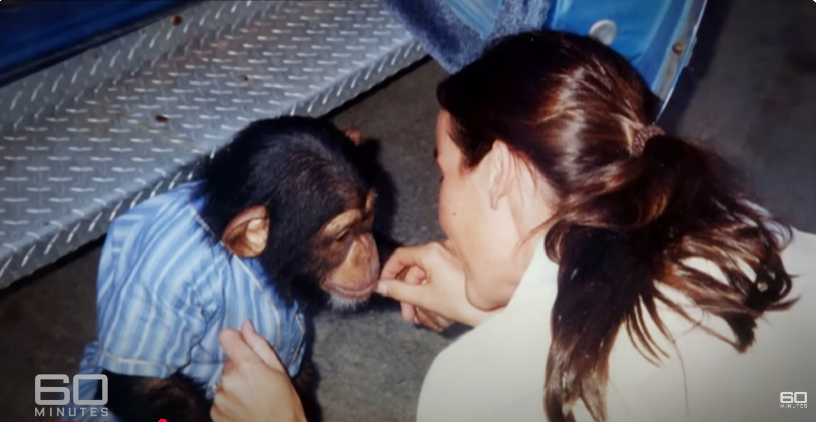 Travis and his owner, Sandra Herold, interacting with each other, dated June 11, 2025 | Source: YouTube/60MinutesAustralia