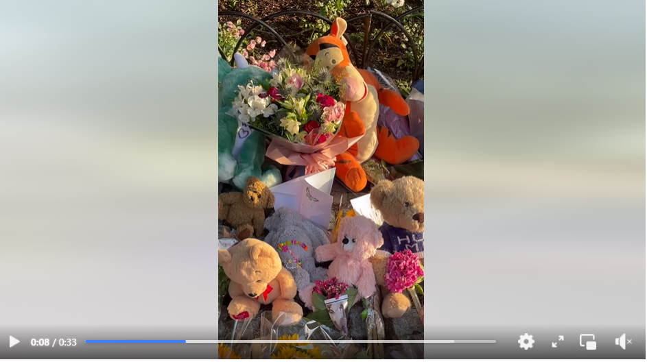 Many cuddly toys and letters are placed at the place the tree used to be, from a video post dated July 1, 2025 | Source: Facebook/YourSouthend