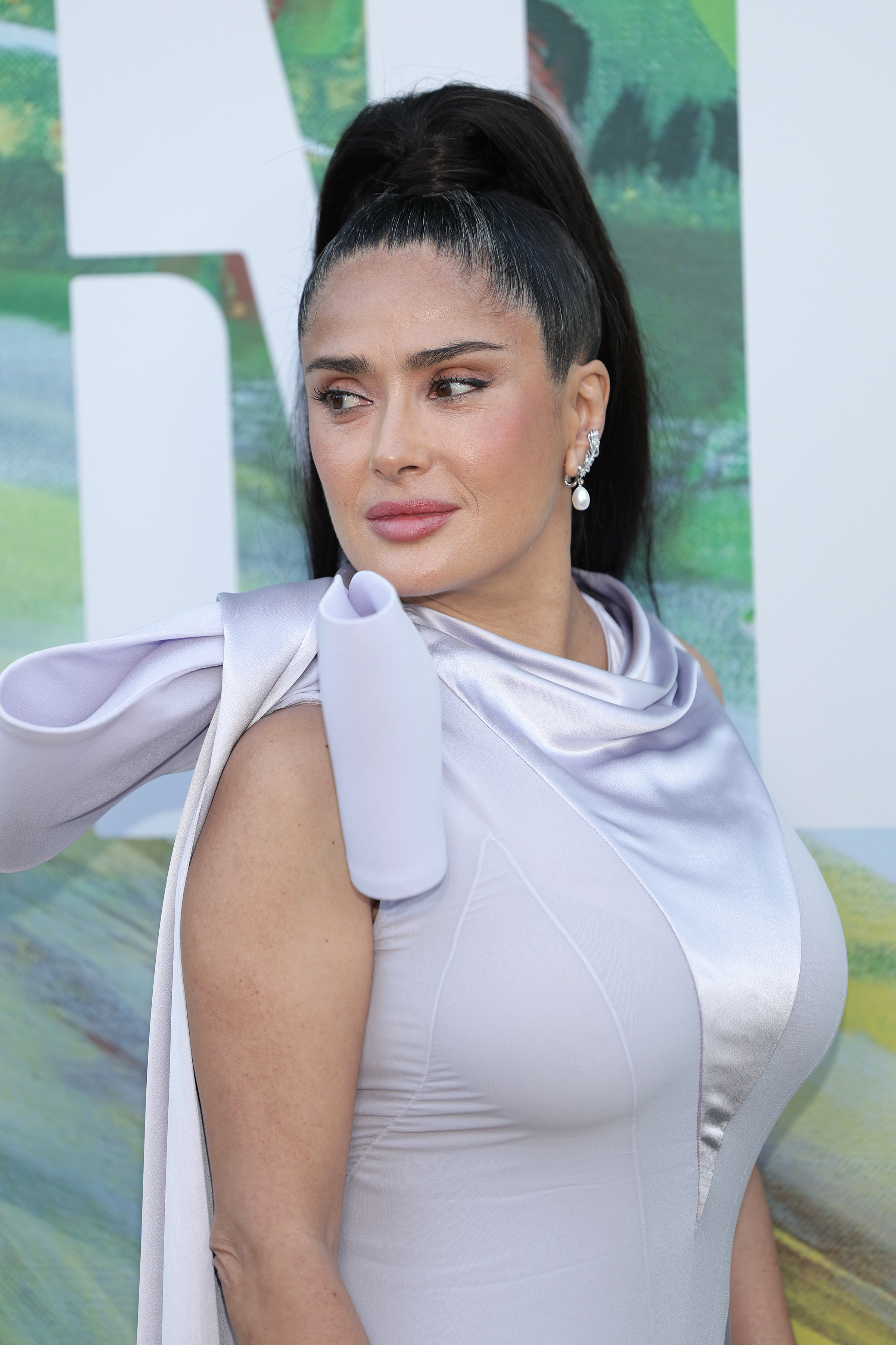 Salma Hayek occasionally swaps her signature loose brunette waves for sleek updos, sometimes revealing the silver strands around her hairline that she doesn't always choose to cover. | Source: Getty Images