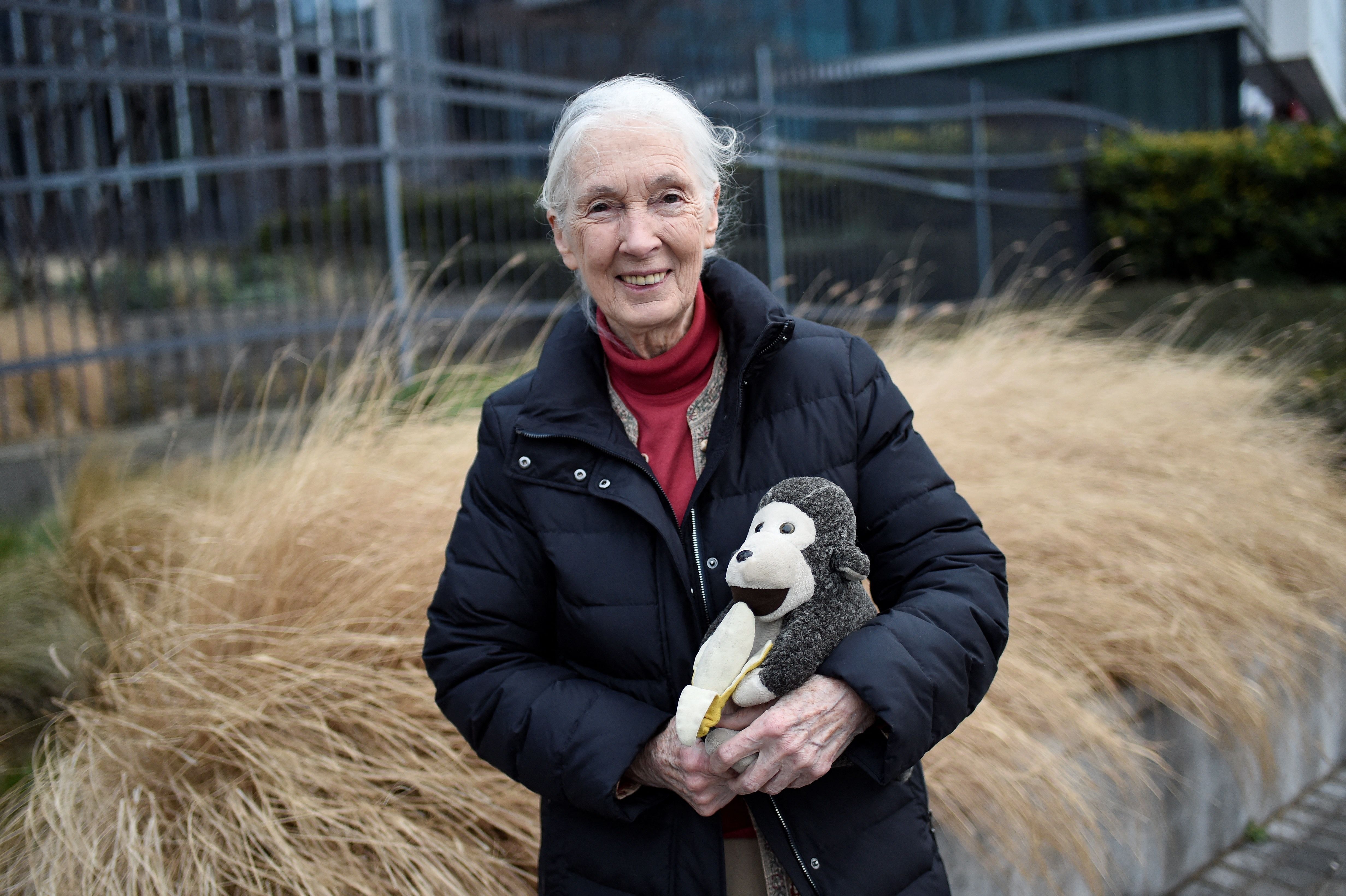 Jane Goodall posing for a photo with Mr. H in Paris, France on January 18, 2018. | Source: Getty Images