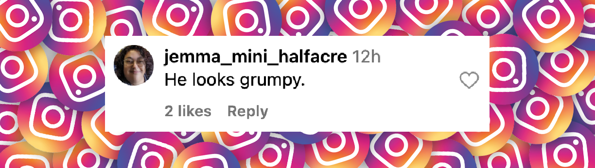 A fan comment dated June 13, 2025 | Source: Instagram/people