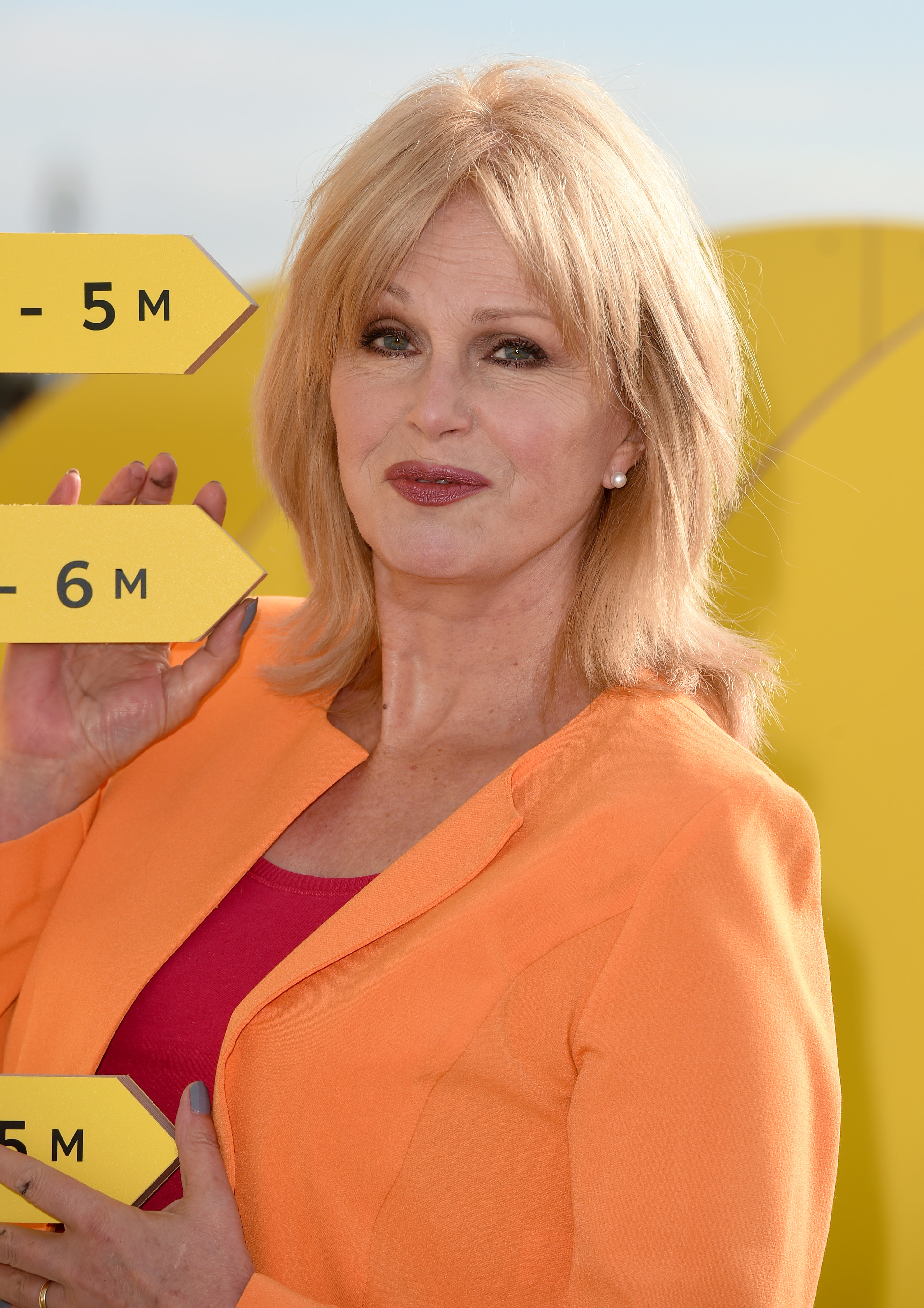Joanna Lumley photographed on July 29, 2015 | Source: Getty Images