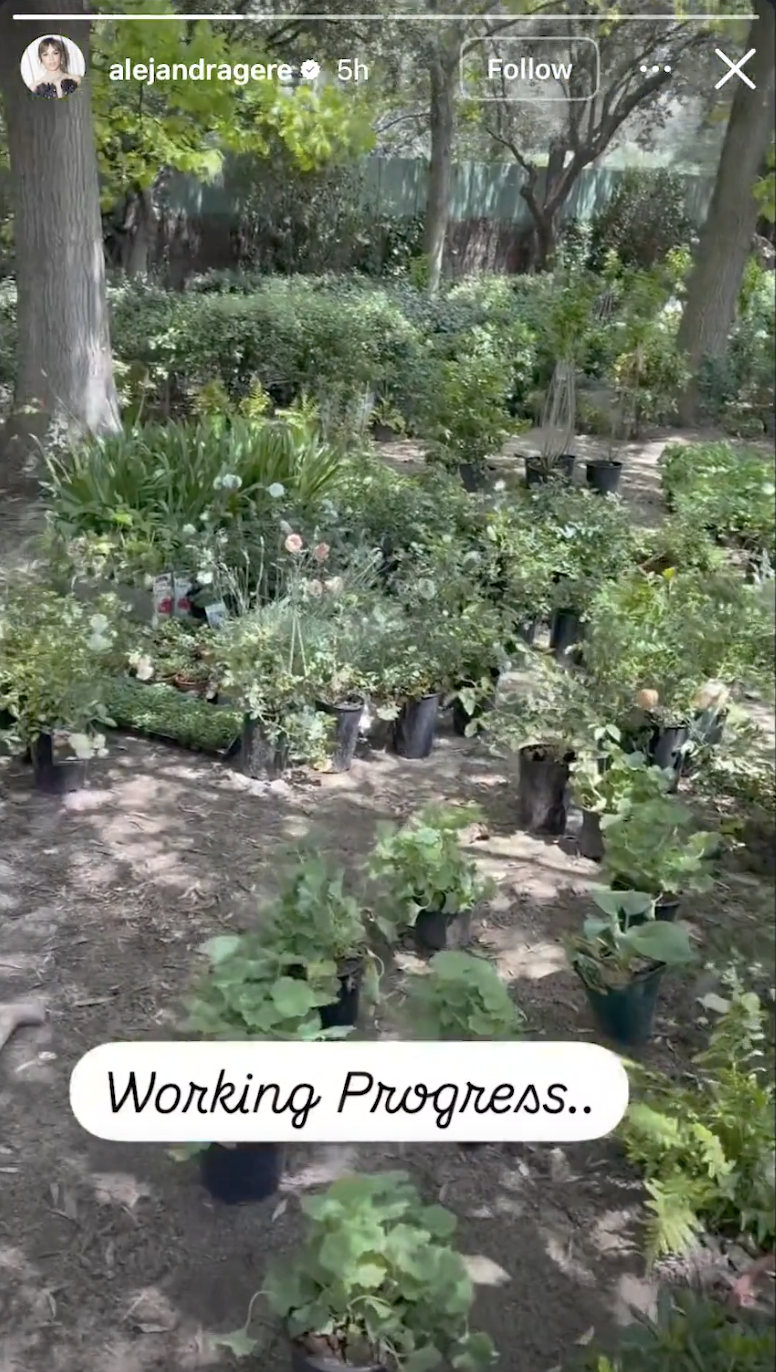 Silva documented the transformation of a shaded section of the property as newly planted greenery and flowering plants began taking shape during a landscaping project. | Source: Instagram/alejandragere