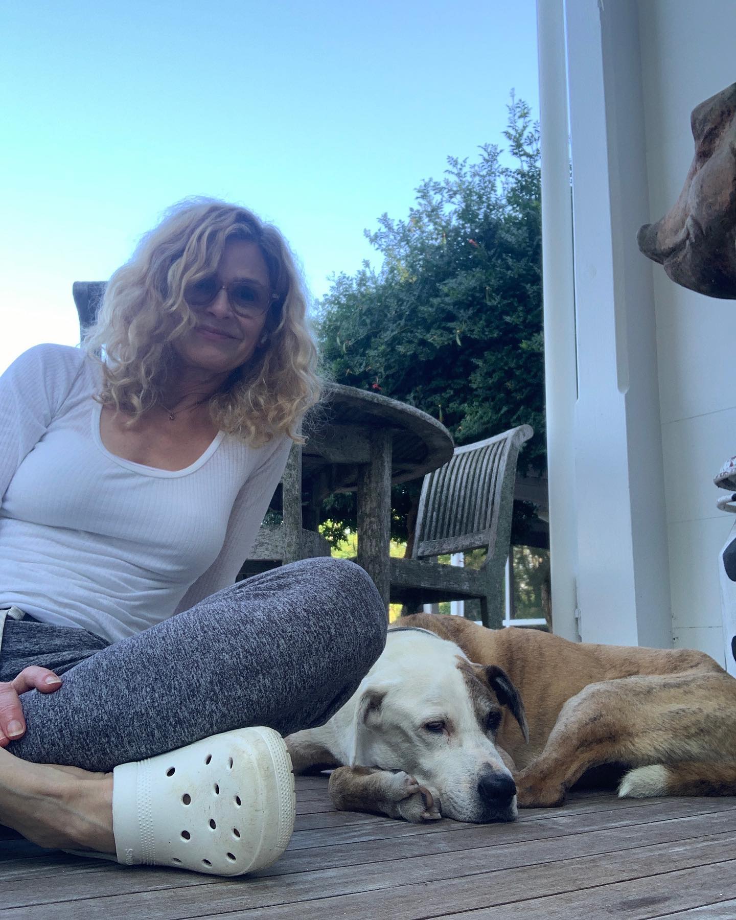 Dogs have been part of Bacon's country-life vision from the beginning. His original plan for the farm was essentially a man, a dog and a deliberately stripped-down existence.