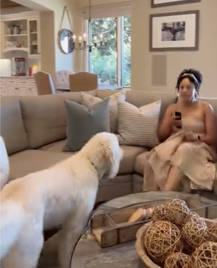 Tamera Mowry sitting on her couch as her dog watches her. | Source: Instagram/tameramowrytwo