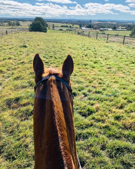 A rider’s view reveals a sun-drenched paddock stretching toward the horizon, with gently sloping fields and distant fencing capturing the freedom and quiet rhythm of farm life. From a post dated August 1, 2021. | Source: Instagram/nicolekidman
