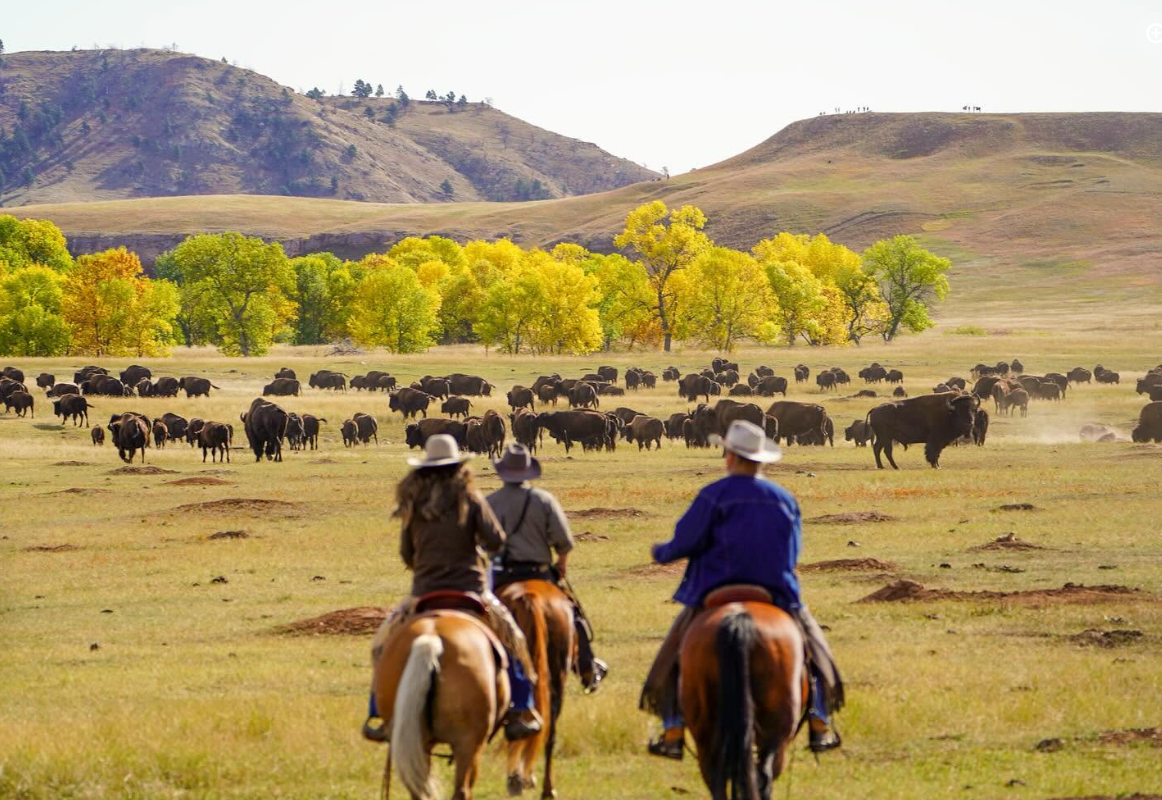 The landscape opens up dramatically in this view, with horseback riders facing a large herd of bison across the grassland. Rolling hills and trees stretch across the distance. | Source: Facebook/kristi.noem
