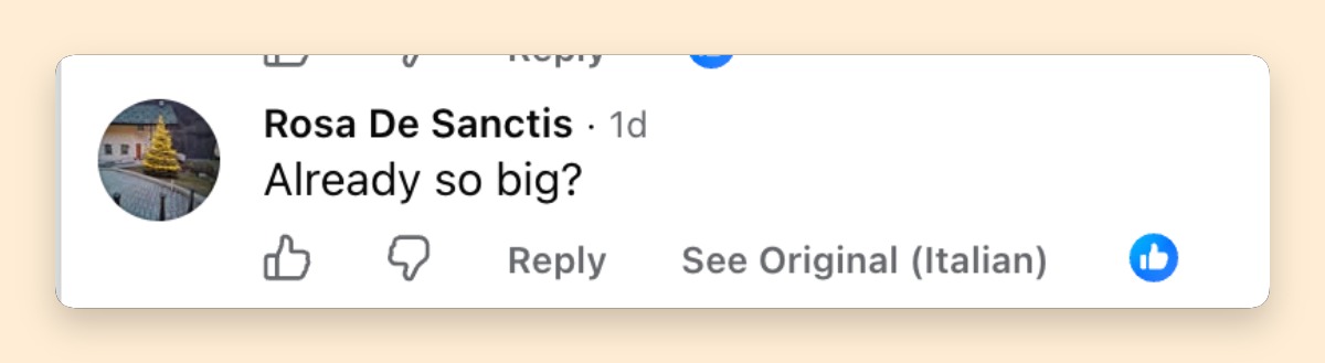 The rare sighting immediately had viewers marveling at just how much George and Amal Clooney's twins have grown. One commenter summed up the surprise simply: "Already so big?" | Source: Facebook/Page Six