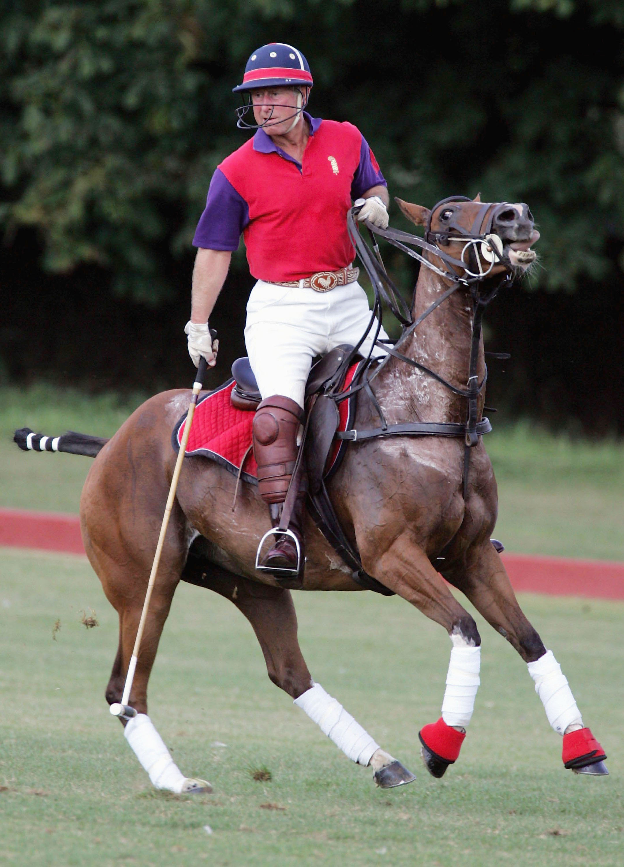 King Charles III plays for the Highgrove Polo Team during a charity match benefiting the Royal Agricultural Benevolent Institution at Beaufort Polo Club in Tetbury, England, on July 23, 2005 | Source: Getty Images