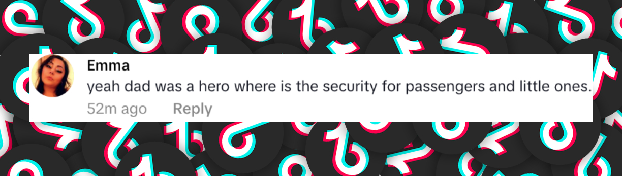 Netizen comment about the Disney Dream rescue story, posted on June 29, 2025. | Source: TikTok/@lifeofchandler