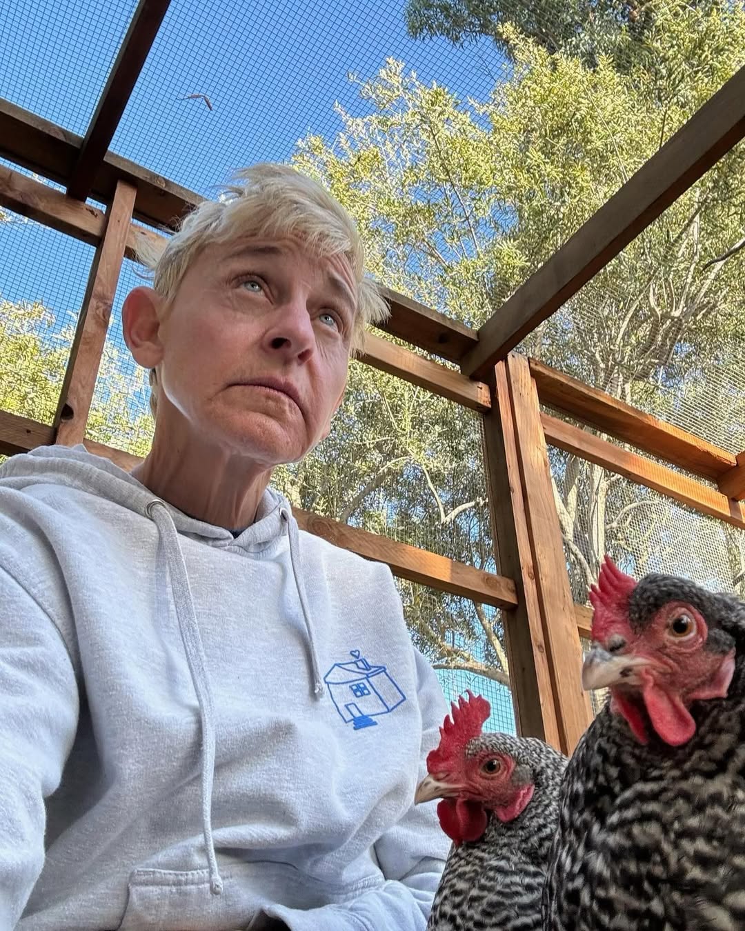 Ellen DeGeneres from a post dated May 26, 2024. | Source: Instagram/ellendegeneres