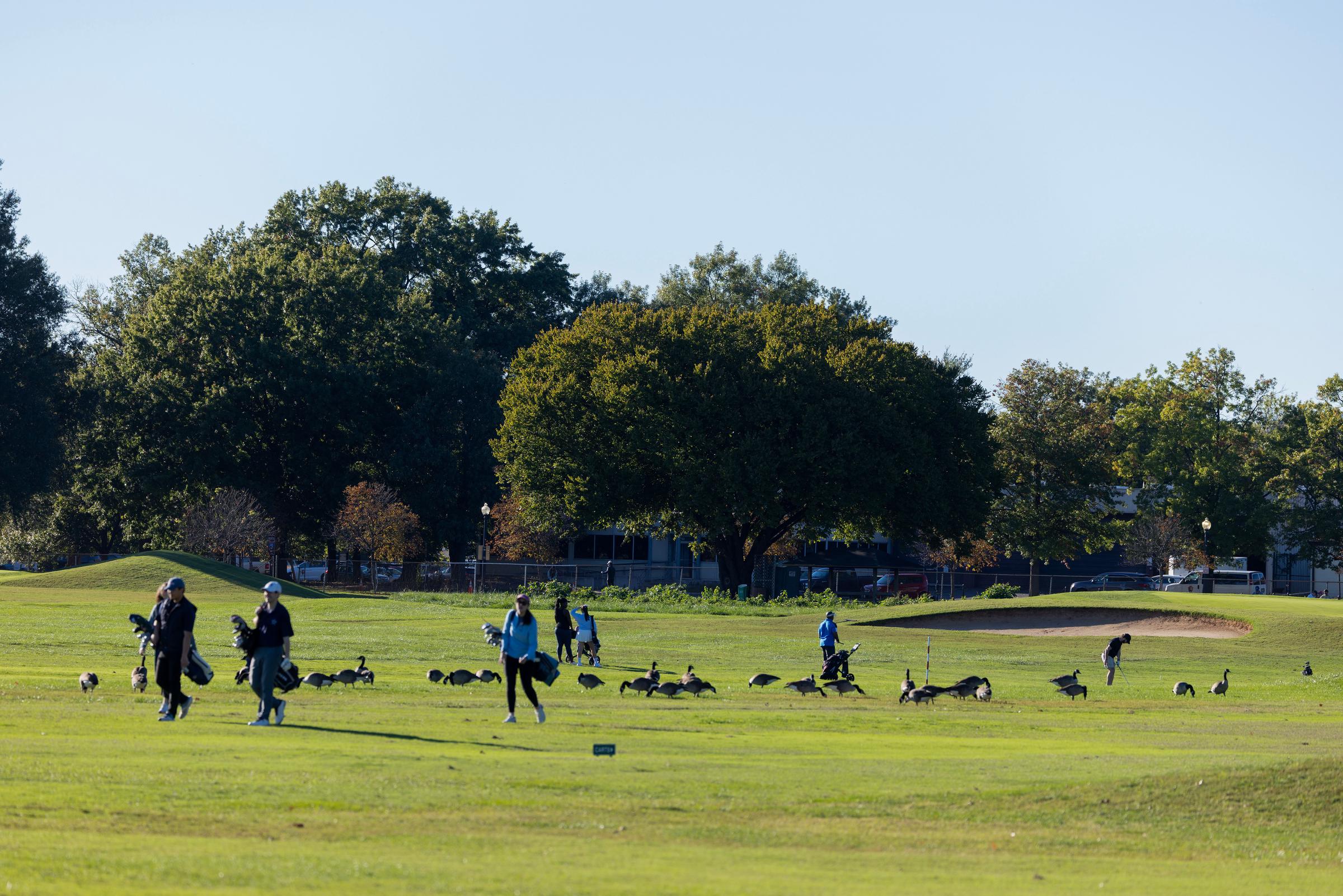 The golf course redevelopment has faced a legal challenge involving the federal government's handling of proposed changes to the park. | Source: Getty Images.