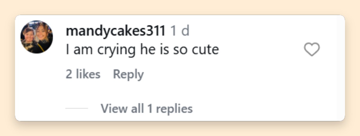 A fan reacts to Lindsay Lohan's family photo dump, with the actress's glimpse into her life as a mother drawing affectionate responses from followers. | Source: Instagram/lindsaylohan