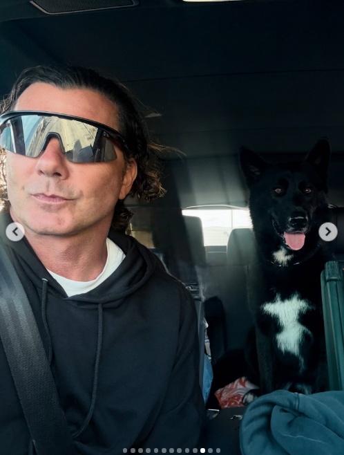 Gavin Rossdale and his dog, Kaya, somewhere in Malibu, California, on his post celebrating the end of the summer uploaded on September 3, 2026. | Source: Instagram/gavinrossdale