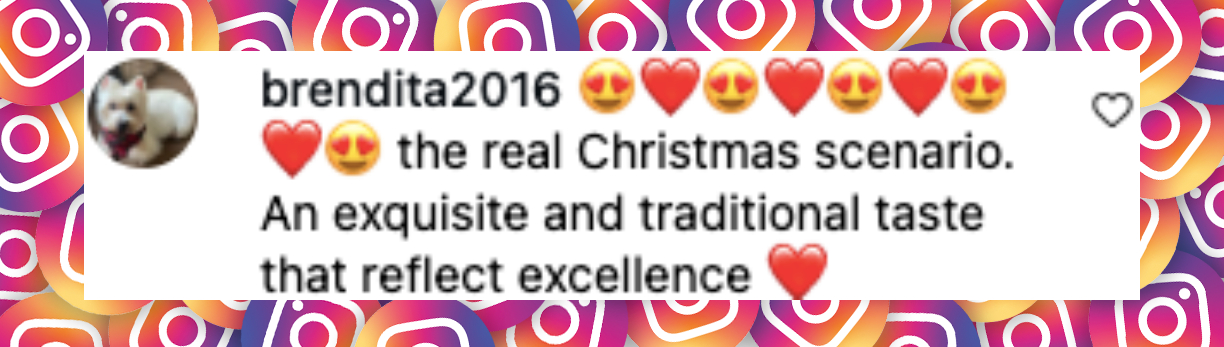 Fan comment about the 2025 White House Christmas decorations, posted on December 1, 2025. | Source: Instagram/dailymail
