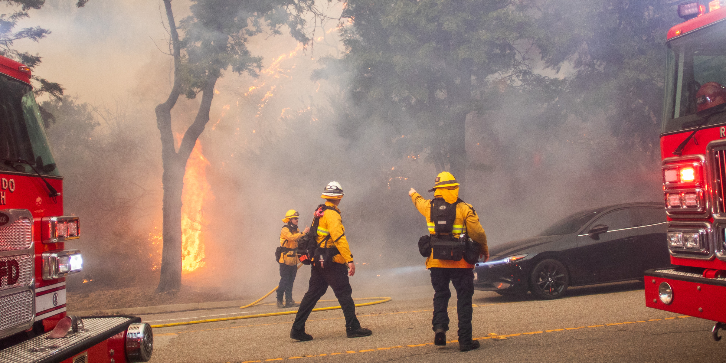 Firefighters battle fire | Source: Getty Images