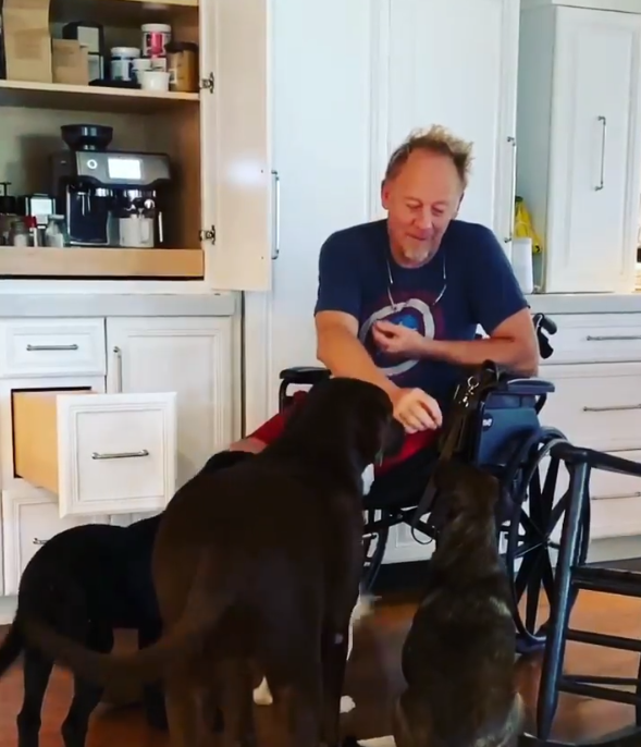 Cactus sits in a wheelchair while several dogs gather around him in a bright kitchen. An open cabinet reveals a coffee machine and supplies, adding an everyday detail to the family scene. | Source: Instagram/wynonnajudd