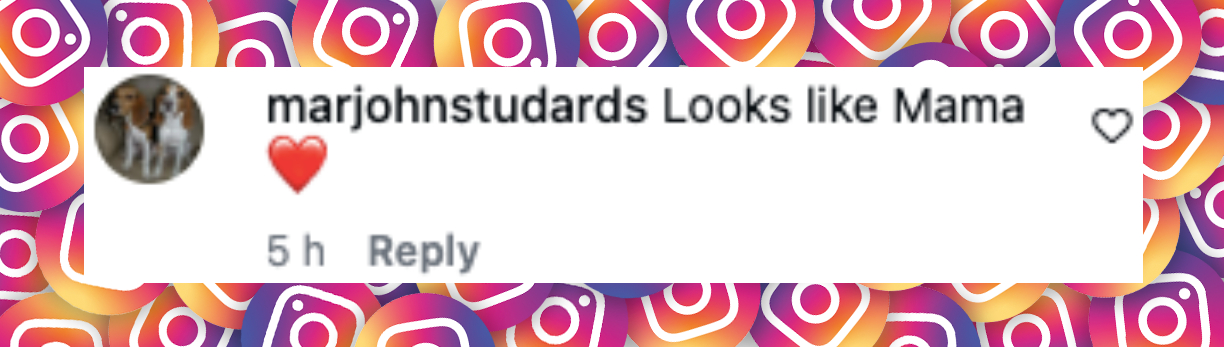 Fan comment about James Wilkie Broderick and Sarah Jessica Parker, posted on January 7, 2025. | Source: Instagram/people