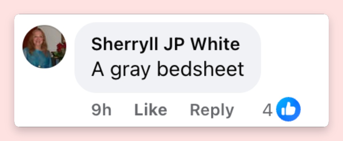 Netizen comment about Zendaya's outfit, posted on May 21, 2026. | Source: Facebook/People