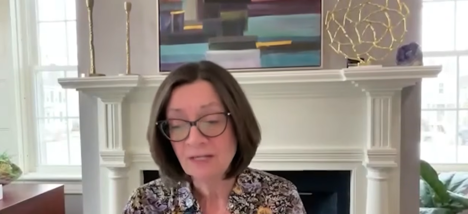 Susan Stearns, the executive director of NAMI New Hampshire, from a report dated March 13, 2026 | Source: YouTube/WMUR-TV
