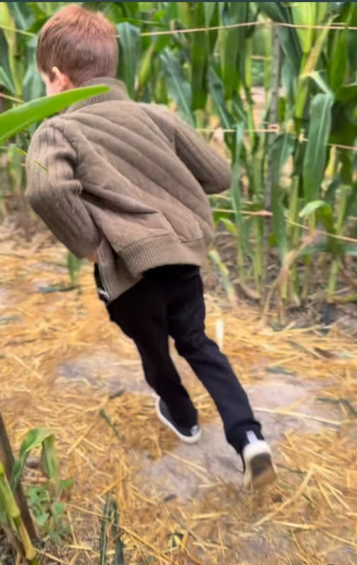 Prince Archie is seen running through corn maze, dated October 26, 2025 | Source: Instagram/meghan