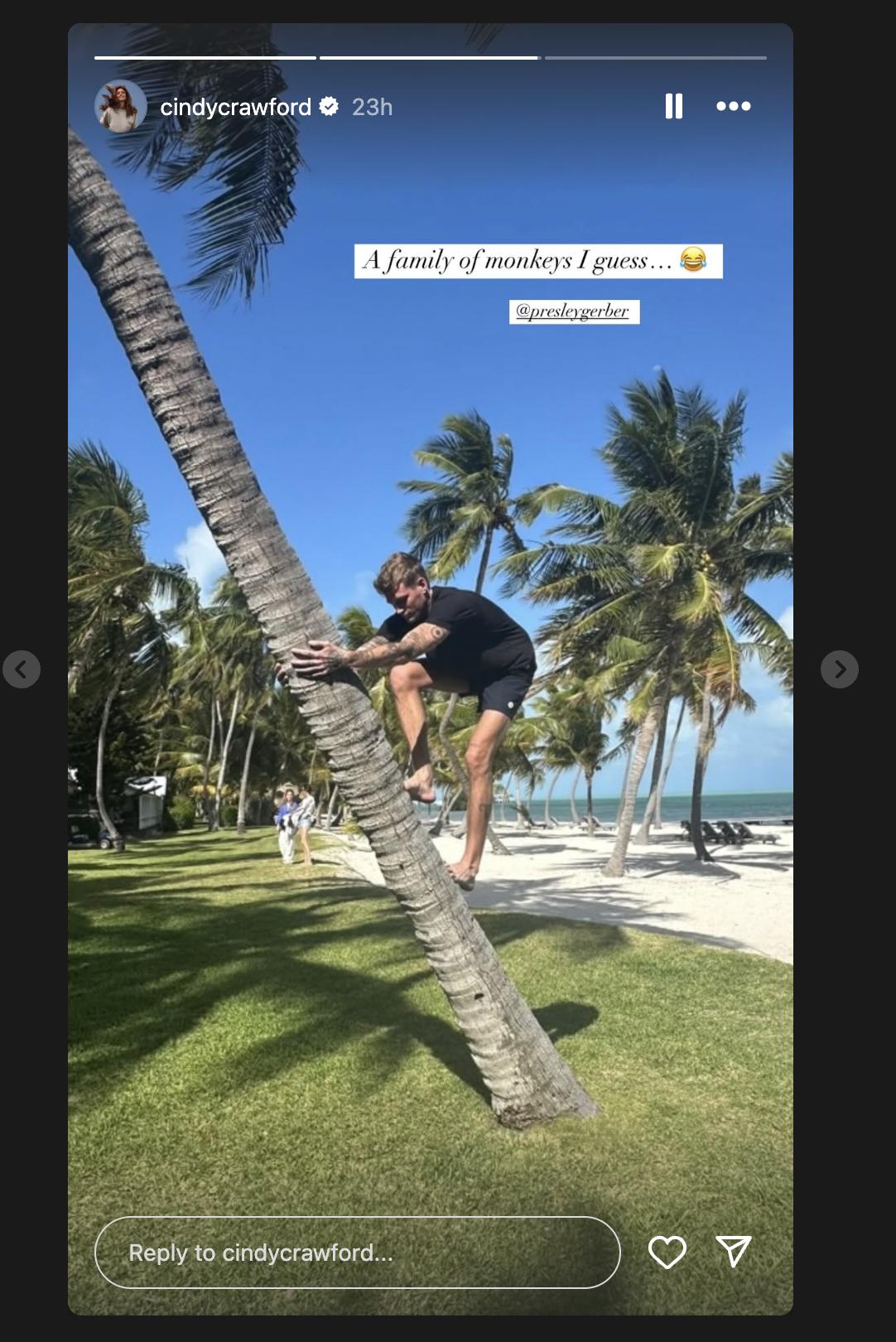 Cindy Crawford's photo of her son Presley Gerber climbing a palm tree, posted via Instagram Stories on May 1, 2025. | Source: Instagram/cindycrawford