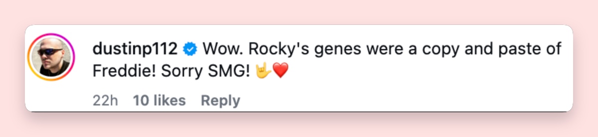 A commenter playfully apologized to Sarah while insisting that Rocky looked like a near-perfect copy of Freddie. | Source: Instagram/@sarahmgellar