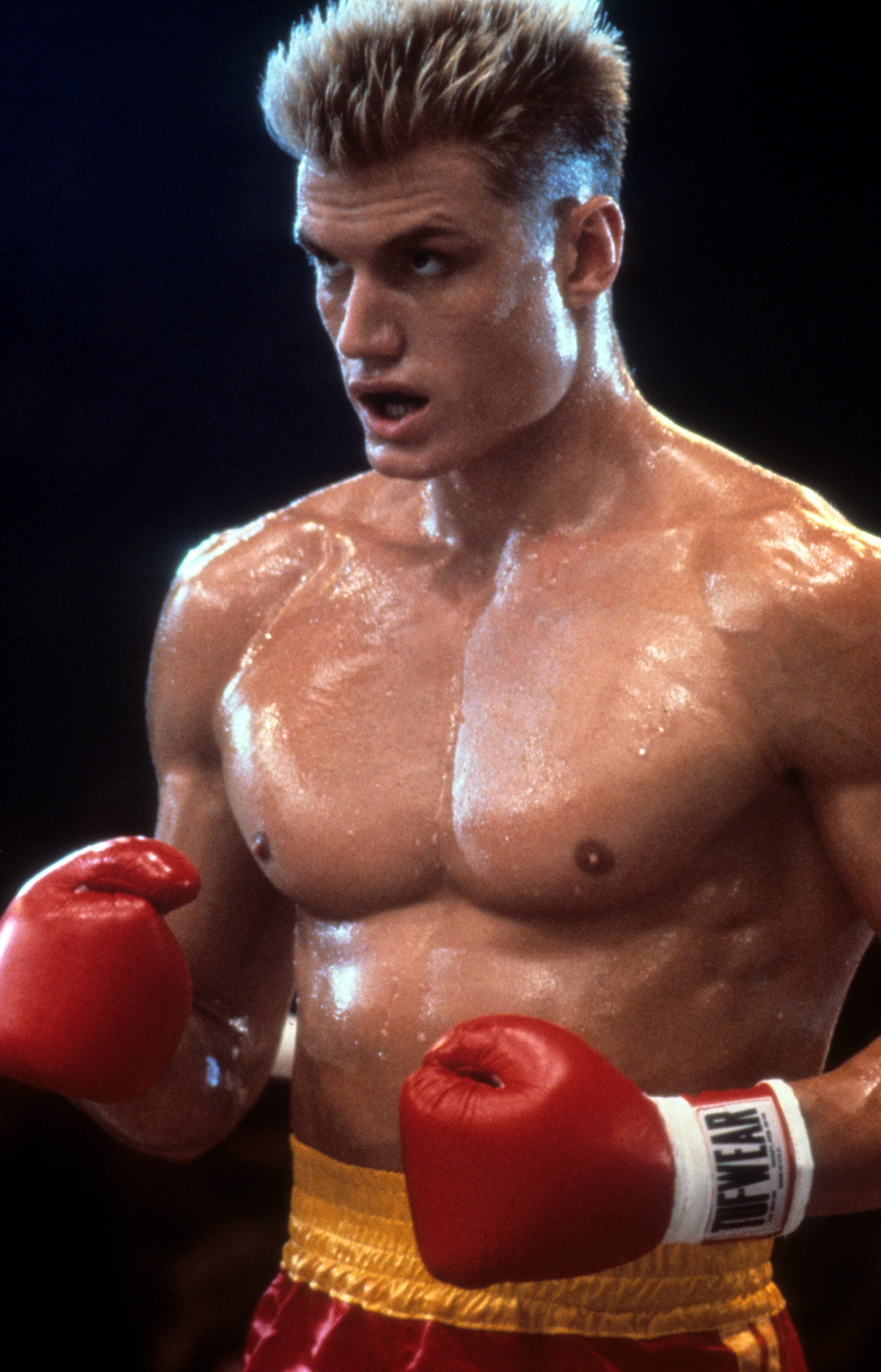 Before Hollywood, Lundgren studied chemical engineering, became a Fulbright scholar, and was already a martial arts champion — a rather different résumé from the silent Soviet powerhouse that made him famous. | Source: Getty images