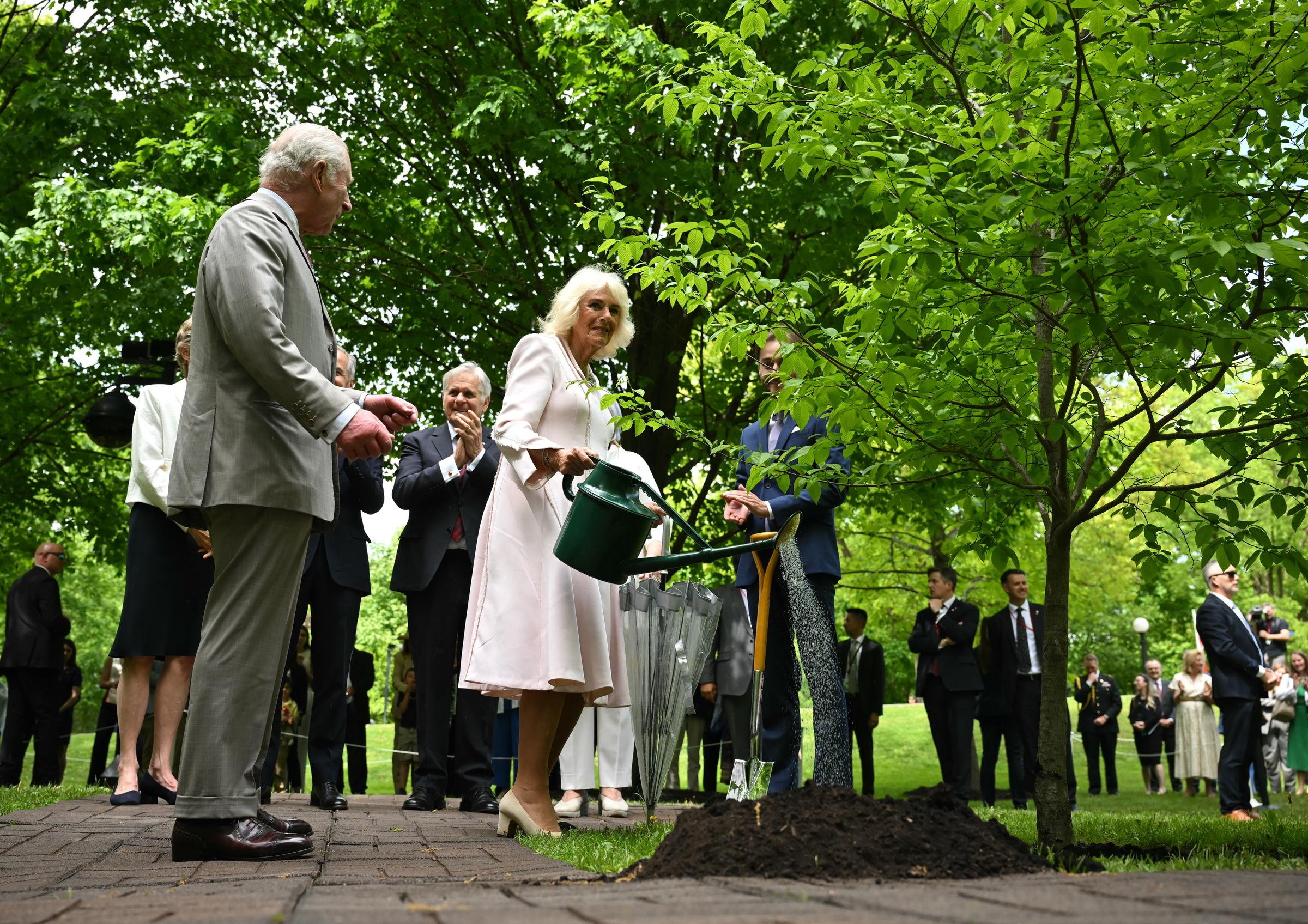 King Charles III looks on as Queen Camilla waters the newly planted tree, with officials around them still applauding the ceremonial moment.