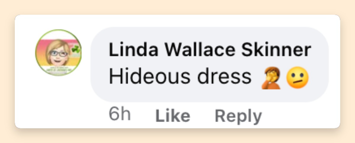 Netizen comment about Lisa Rinna's Pre-Met Gala event gown, posted on May 3, 2026. | Source: Facebook/Lisa Rinna