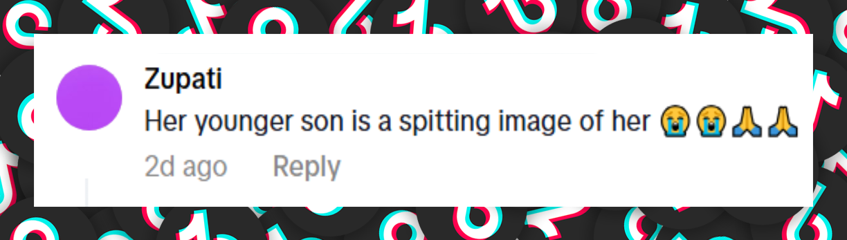 A netizen's comment about Shakira and her sons, Milan and Sasha Pique Mebarak, at the premiere of "Zootopia 2" on November 13, 2025 | Source: TikTok/entertainmenttonight