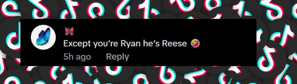 A fan comment dated June 12, 2025 | Source: TikTok/avaephillippe