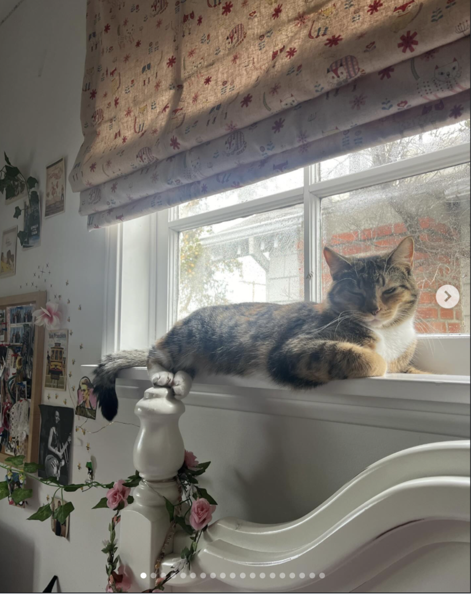 A cat rests beside the window above a white bed, while photographs, postcards, and small decorations cover the wall beside it. | Source: Instagram/ Mabel Lowe