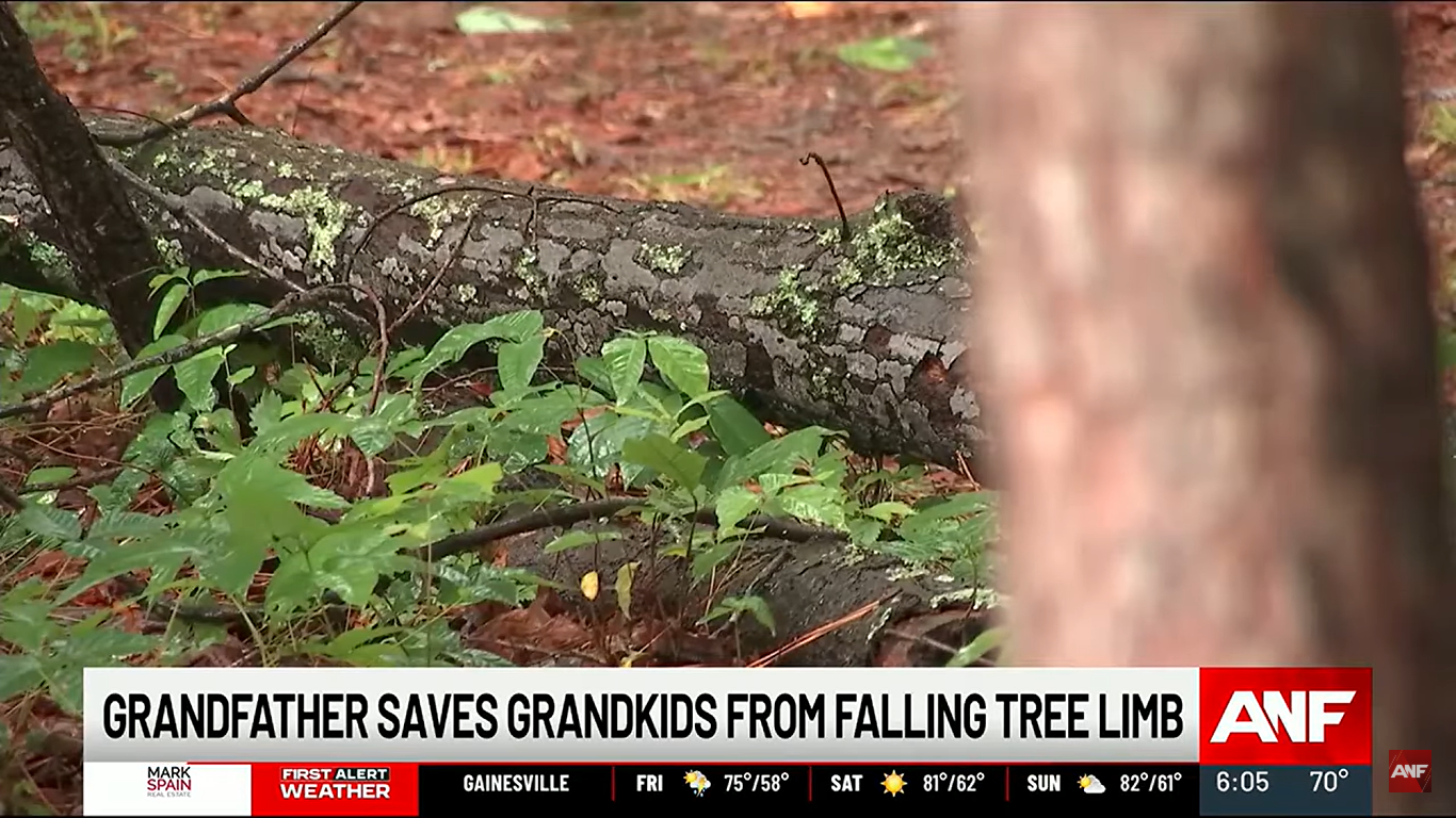A tree limb on the ground, dated May 2025 | Source: AtlantaNewsFirst