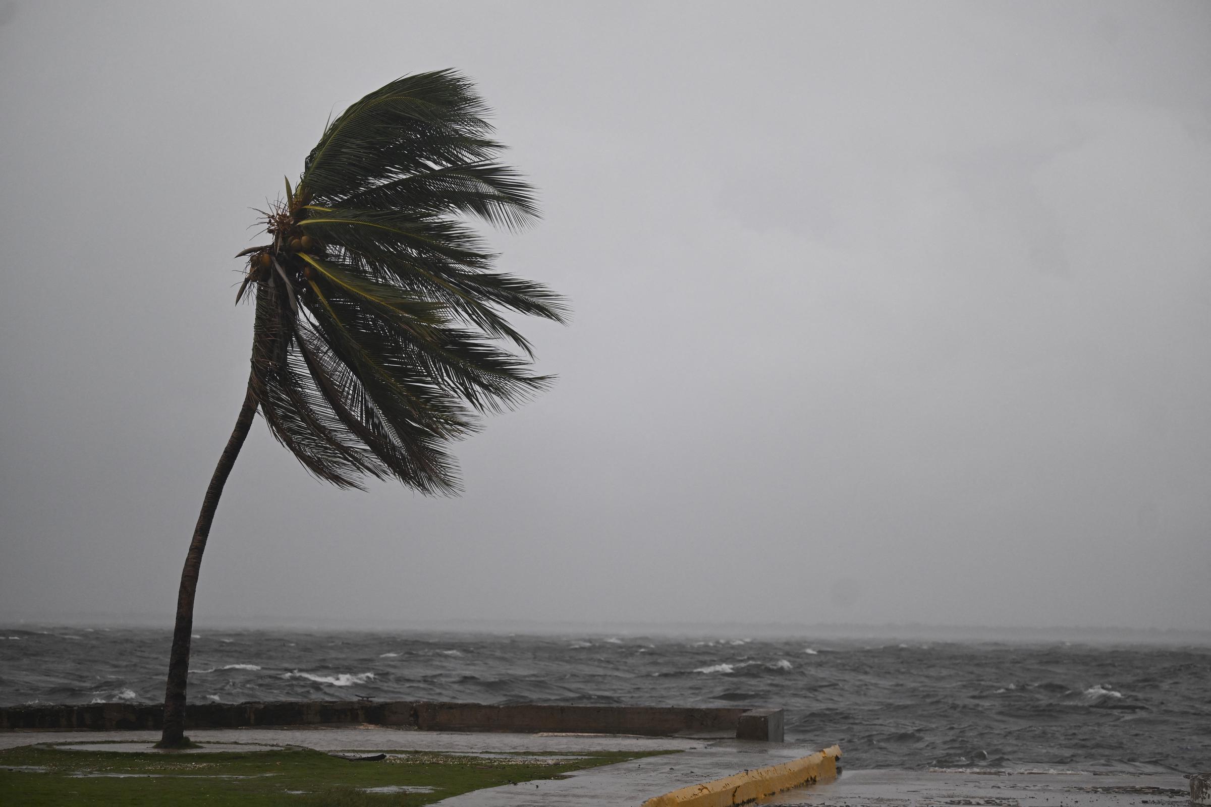 For illustration purposes: Intense hurricane-force winds violently lash coastal trees and churn the ocean as the outer bands of a major storm begin to make impact. | Source: Getty Image