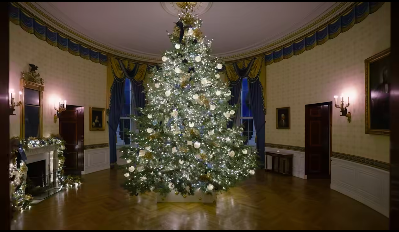 A grand Christmas tree at the center of a room in the White House. | Source: Facebook/First Lady Melania Trump