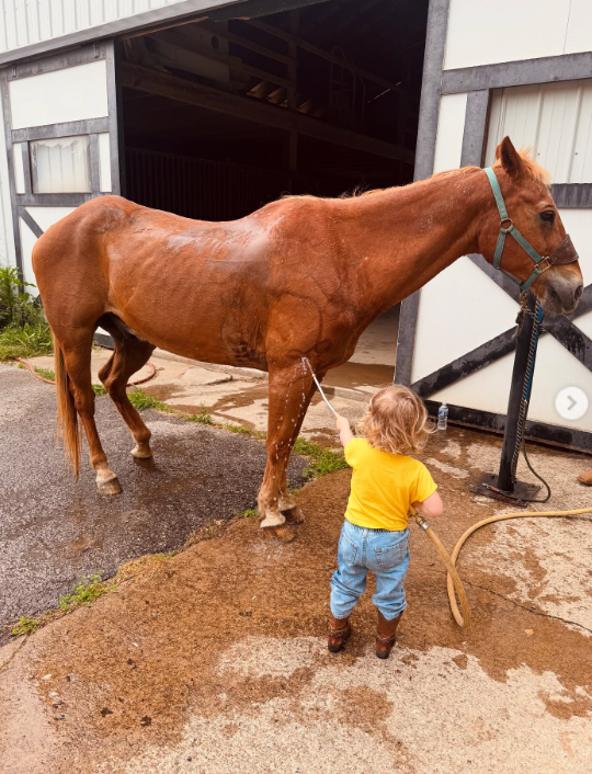 Kaliyah holds a hose beside a chestnut horse standing outside a stable. The horse wears a green halter, while the wet ground and water running down its coat show the washing activity underway. | Source: Instagram/wynonnajudd