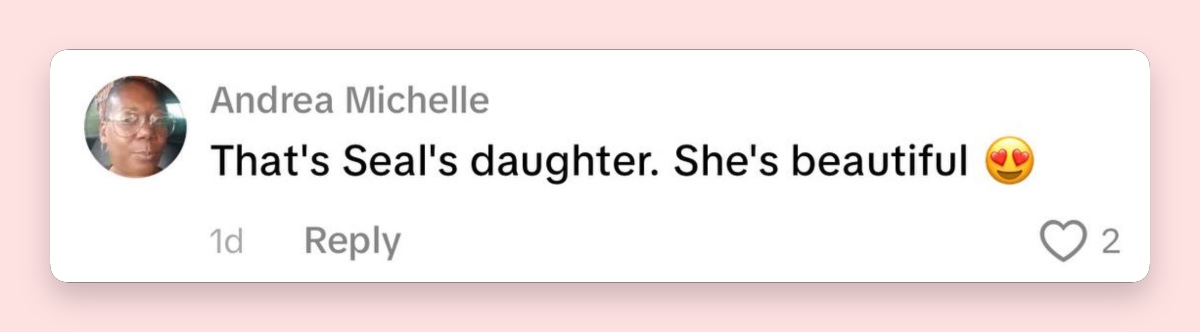 One viewer immediately connected Lou’s appearance to her father, Seal, while praising how she looked in the new photos. | Source: Tik Tok